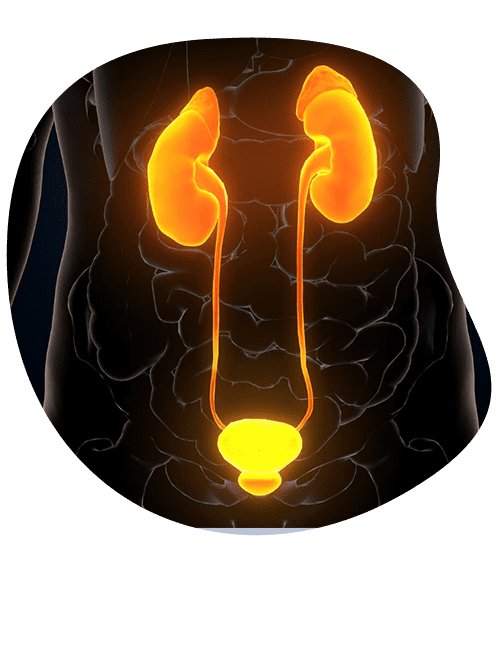 urologia-cerca-de-mi-ubicacion.png